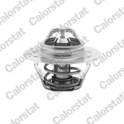 Termostat, chladivo CALORSTAT by Vernet TH5108.83J