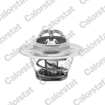 Termostat, chladivo CALORSTAT by Vernet TH5962.88J