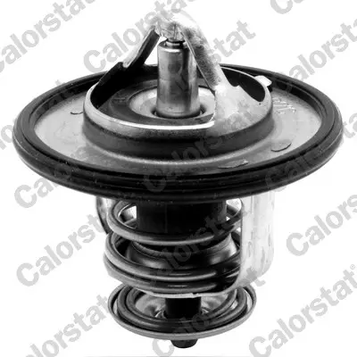 Termostat, chladivo CALORSTAT by Vernet TH6587.87J