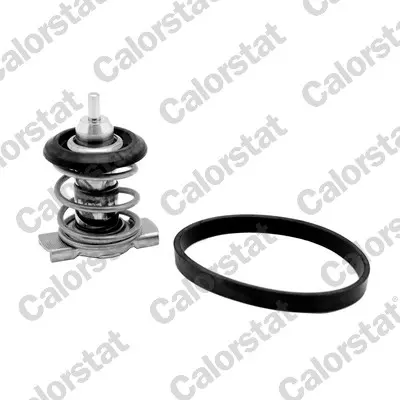 Termostat, chladivo CALORSTAT by Vernet 9200.88/J