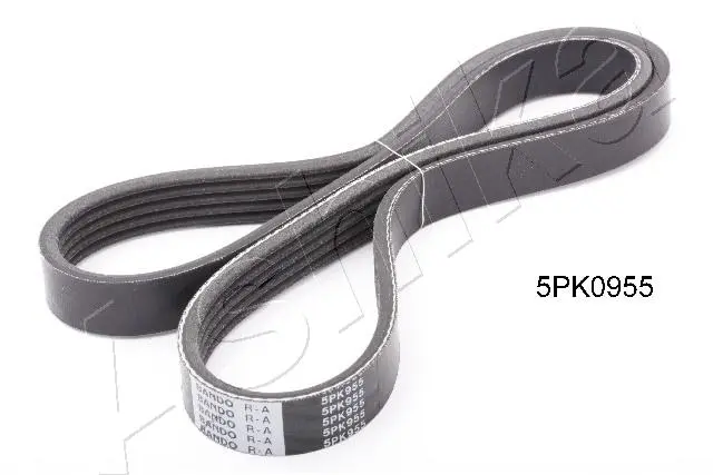 ozubený klínový řemen ASHIKA 112-5PK955