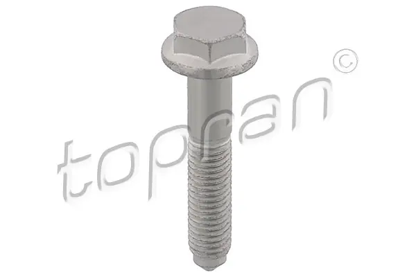 Šroub TOPRAN 117 613