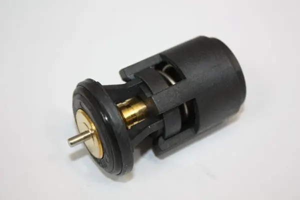 Termostat, chladivo AUTOMEGA 160044810