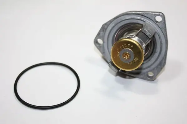 Termostat, chladivo AUTOMEGA 160100010