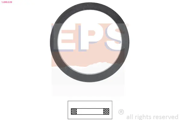 Těsnění, termostat EPS 1.890.539