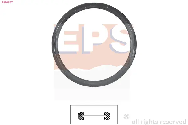 Těsnění, termostat EPS 1.890.547