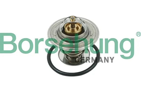 Termostat, chladivo BORSEHUNG B13141