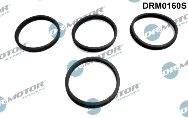 Sada těsnění, koleno sacího potrubí Dr.Motor Automotive DRM0160S