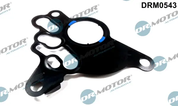 Těsnění, vakuové čerpadlo Dr.Motor Automotive DRM0543