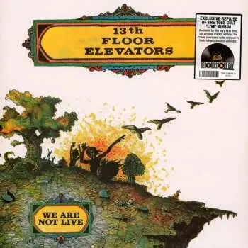 LP 13th Floor Elevators: We Are Not Live