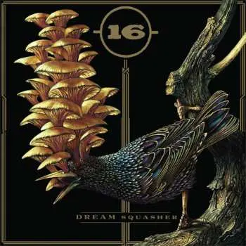 LP 16: Dream Squasher