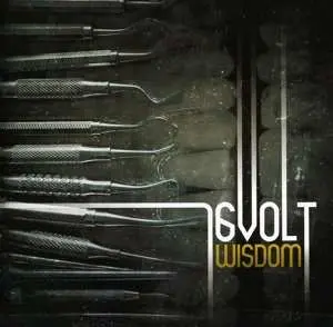 CD 16 Volt: Wisdom