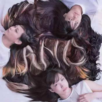 LP Tricot: A N D CLR | LTD