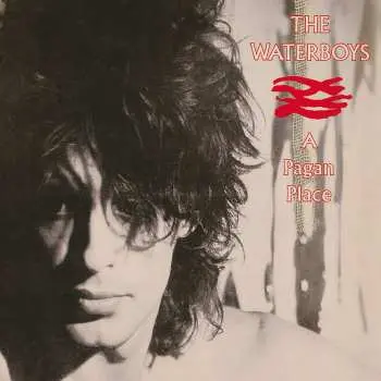 CD The Waterboys: A Pagan Place