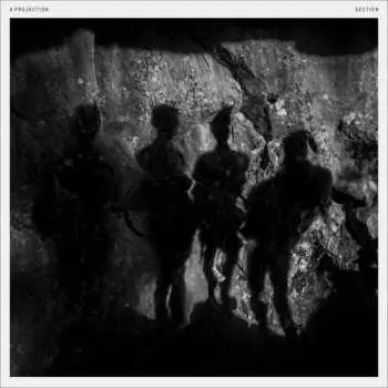 LP A Projection: Section LTD