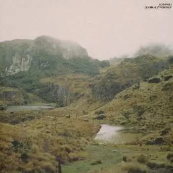 LP Acid Pauli: Den Mahlstrom Rauf