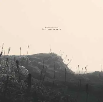 LP Albinobrothers: Goliath Awakes
