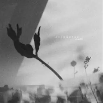 LP Alex Kozobolis: Asymmetry