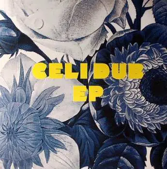 LP Alexkid: Celi Dub EP