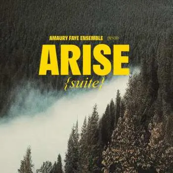 CD Amaury Faye Ensemble: Arise