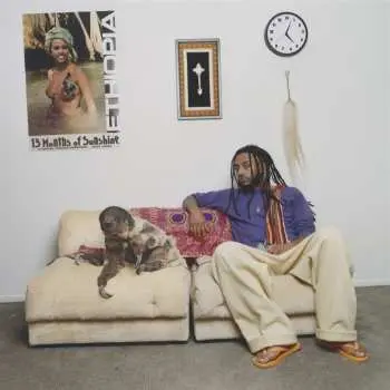 2LP Aminé: 13 Months Of Sunshine