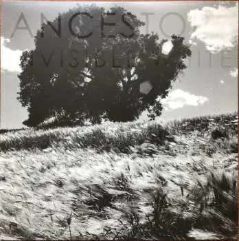 LP Ancestors: Invisible White