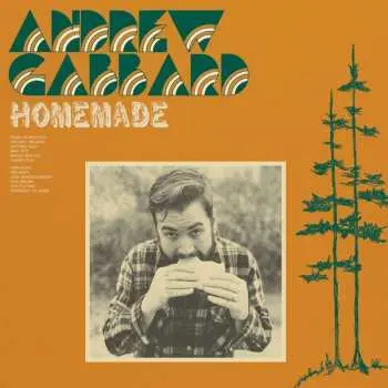 LP Andrew Gabbard: Homemade LTD | CLR