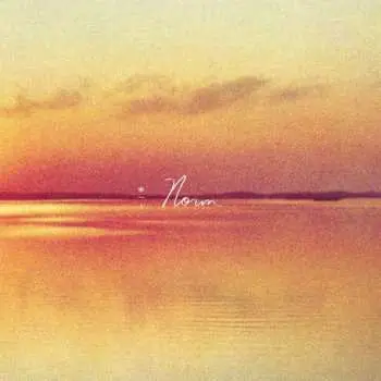 LP Andy Shauf: Norm LTD