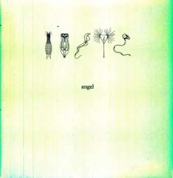 LP Angel: 26000 CLR | LTD