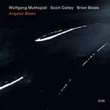 CD Wolfgang Muthspiel: Angular Blues