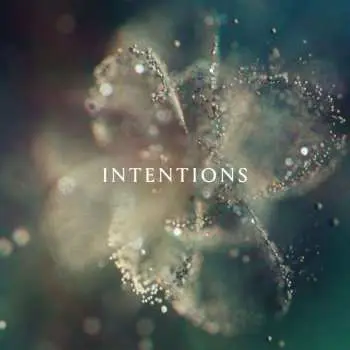 2LP DJ Anna: Intentions