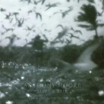 LP Anthony Moore: Mare's Tail