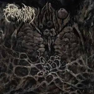 LP Apparition: Feel