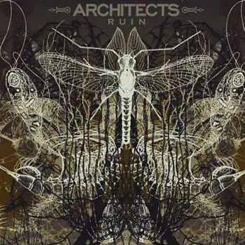 LP Architects: Ruin