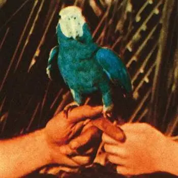 CD Andrew Bird: Are You Serious