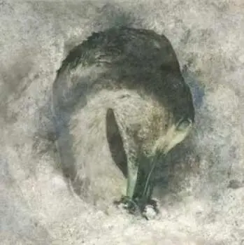 CD Suma: Ashes