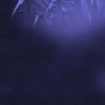 LP ASRA: Nocturnal Journey CLR | LTD