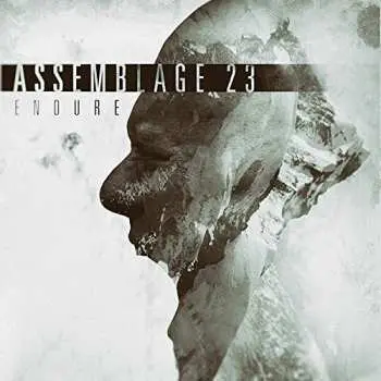 CD Assemblage 23: Endure