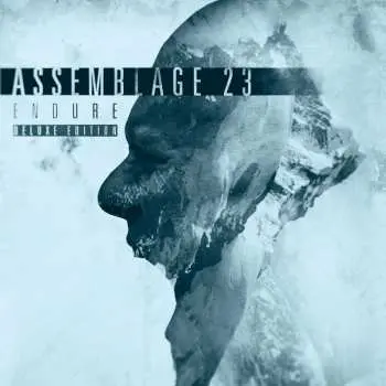 2CD Assemblage 23: Endure DLX | LTD