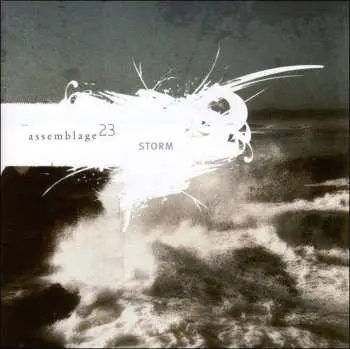 CD Assemblage 23: Storm
