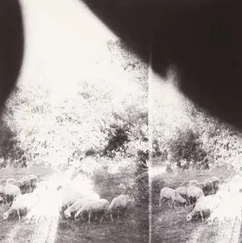 LP Godspeed You! Black Emperor: 'Asunder, Sweet and Other Distress'