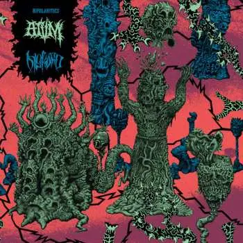 LP Diskord: Bipolarities LTD | NUM