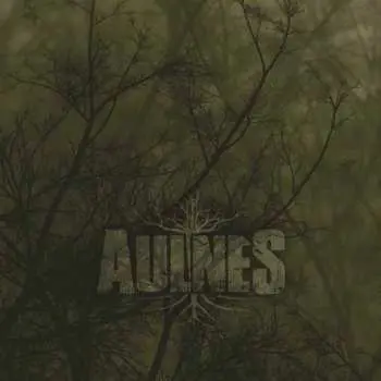 CD Aulnes: Aulnes