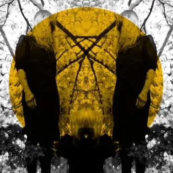 CD Austra: Feel It Break