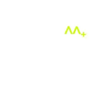 LP Austrian Apparel: AAplus LTD
