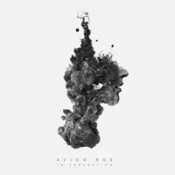 CD Avion Roe: In Separation