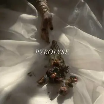 LP AYMZ: Pyrolyse