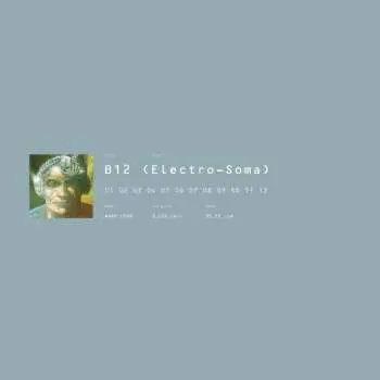 2LP B12: Electro-Soma