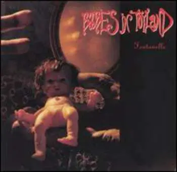 CD Babes In Toyland: Fontanelle