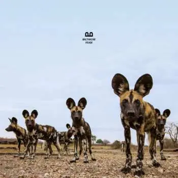 CD Balthazar: Fever DIGI